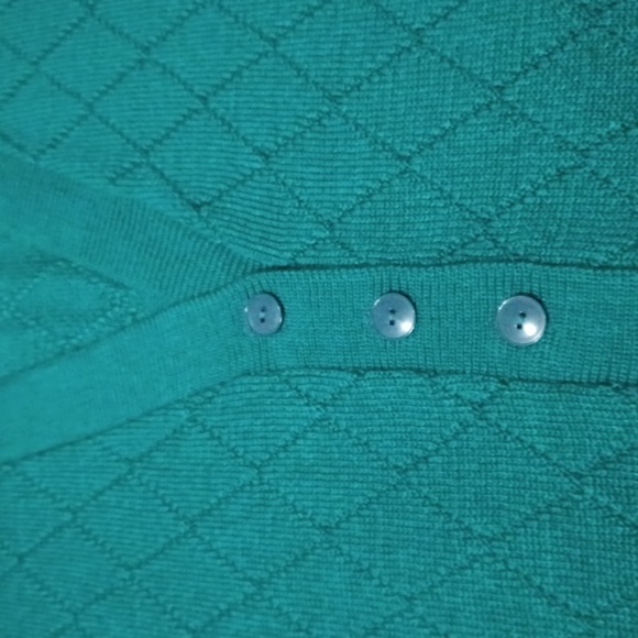 Alison J. green partial button up cardigan sweater - Picture 7 of 10